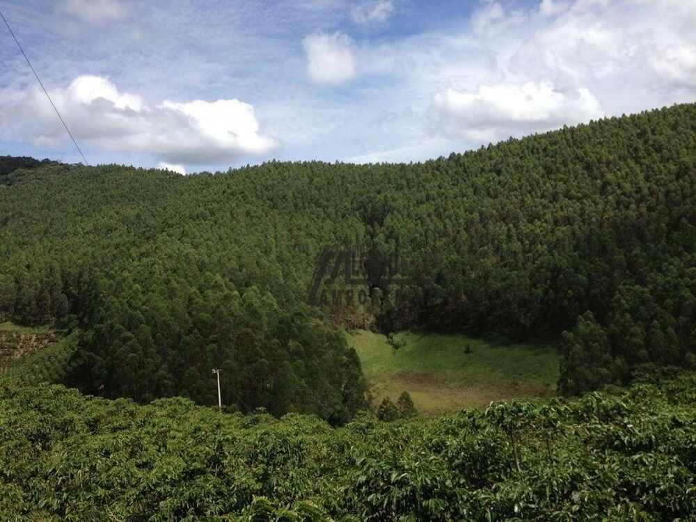 Sítio, 21 m² - Foto 12