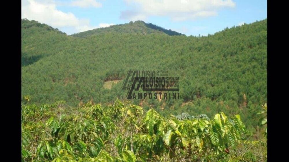 Sítio, 21 m² - Foto 6