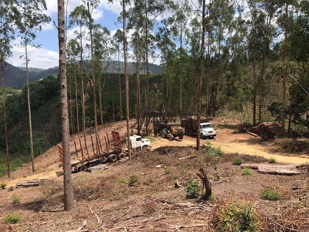 Sítio, 21 m² - Foto 22