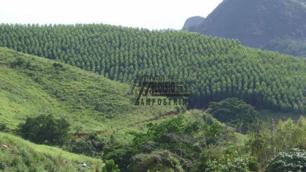 Sítio, 21 m² - Foto 5