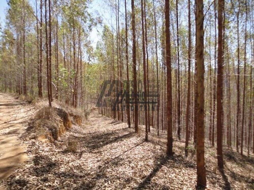 Sítio, 21 m² - Foto 13