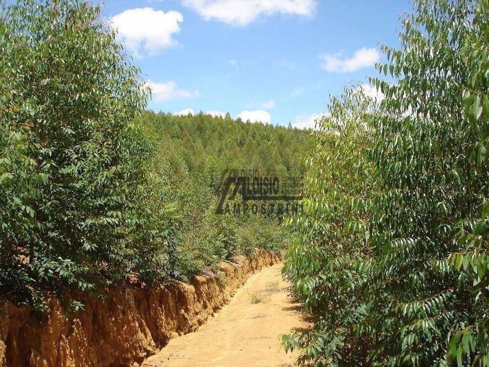 Sítio, 21 m² - Foto 16