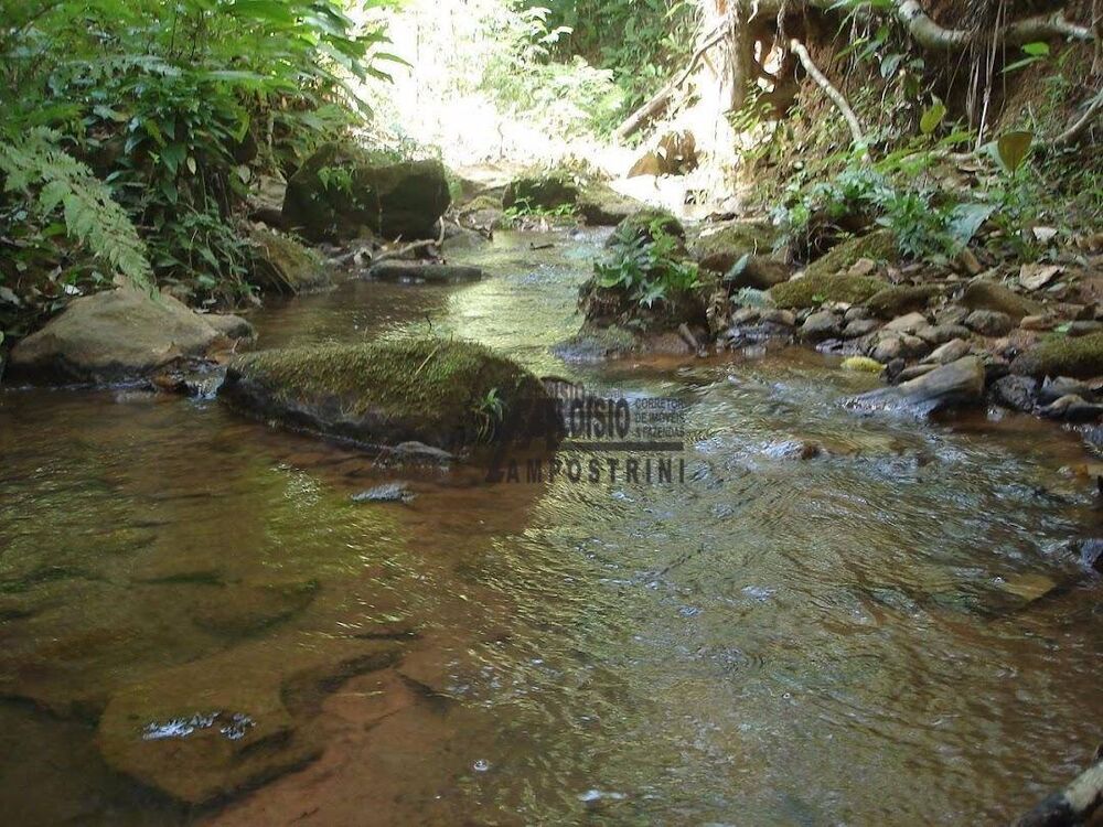 Sítio, 21 m² - Foto 15