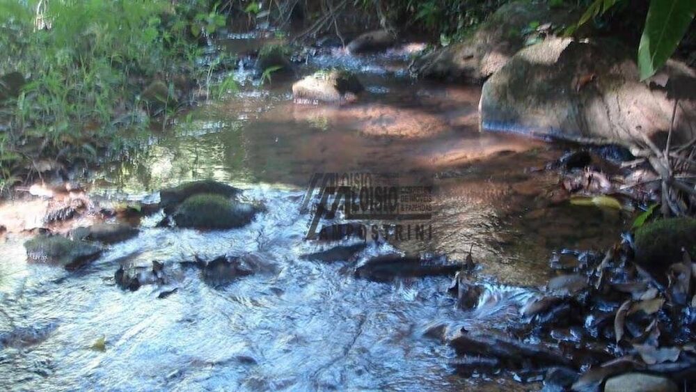 Sítio, 21 m² - Foto 20