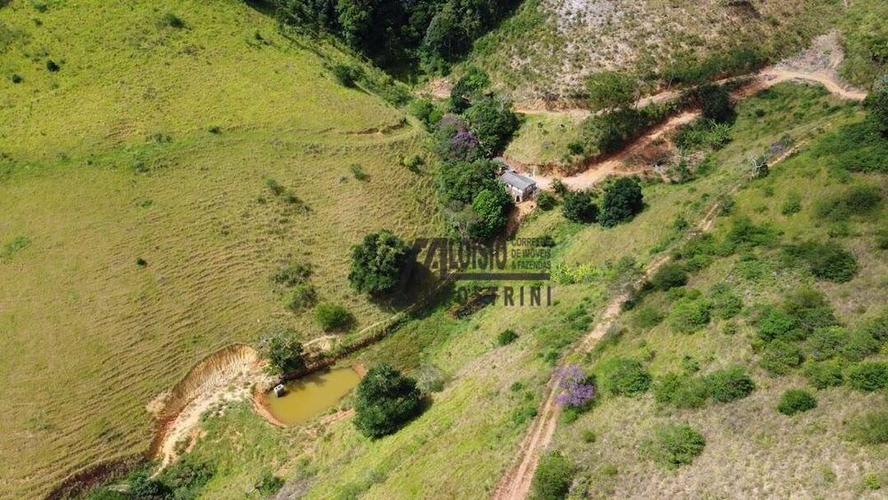 Sítio, 58 hectares - Foto 6