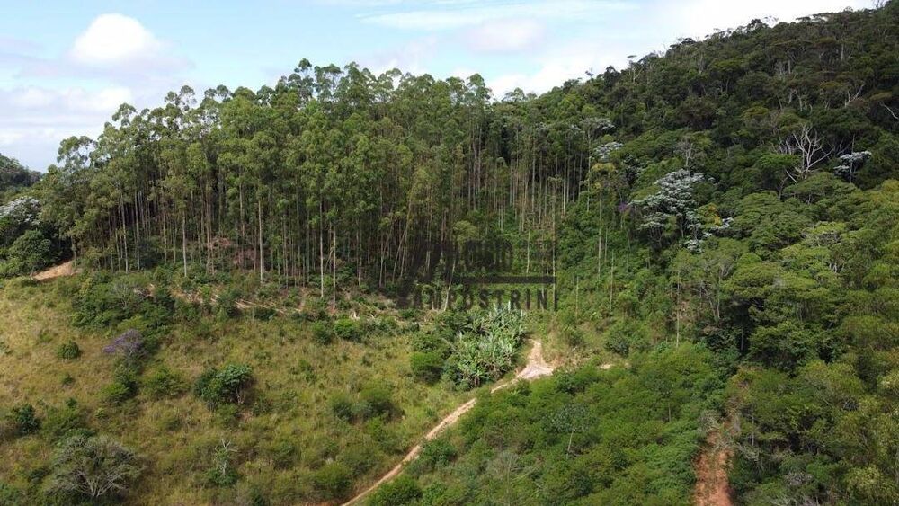 Sítio, 58 hectares - Foto 8