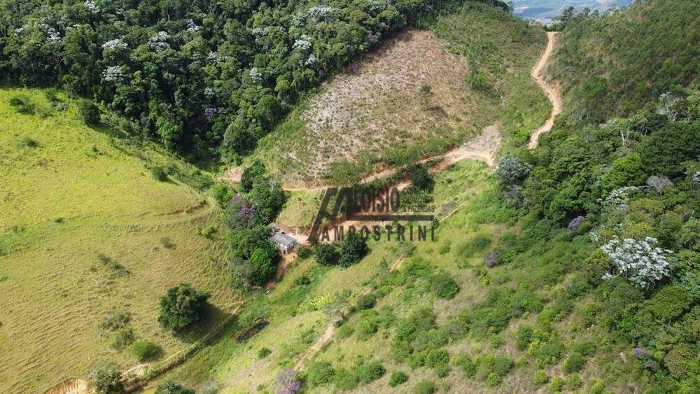 Sítio, 58 hectares - Foto 4