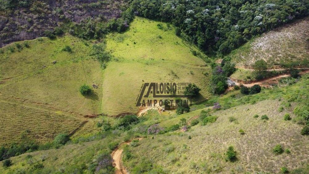 Sítio, 58 hectares - Foto 1