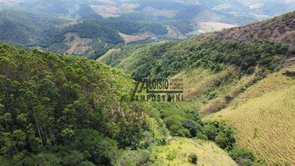 Sítio, 58 hectares - Foto 7