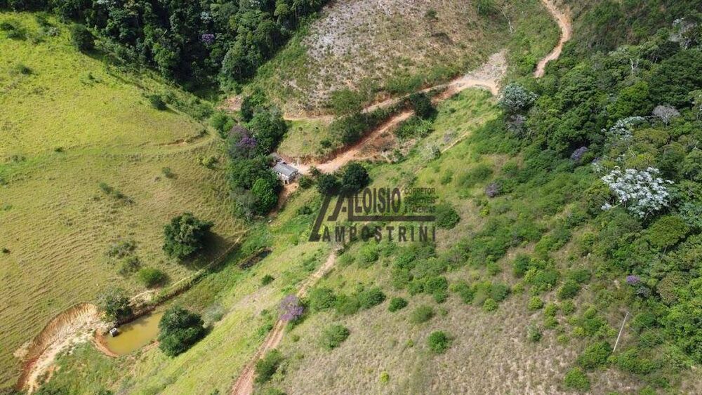 Sítio, 58 hectares - Foto 3