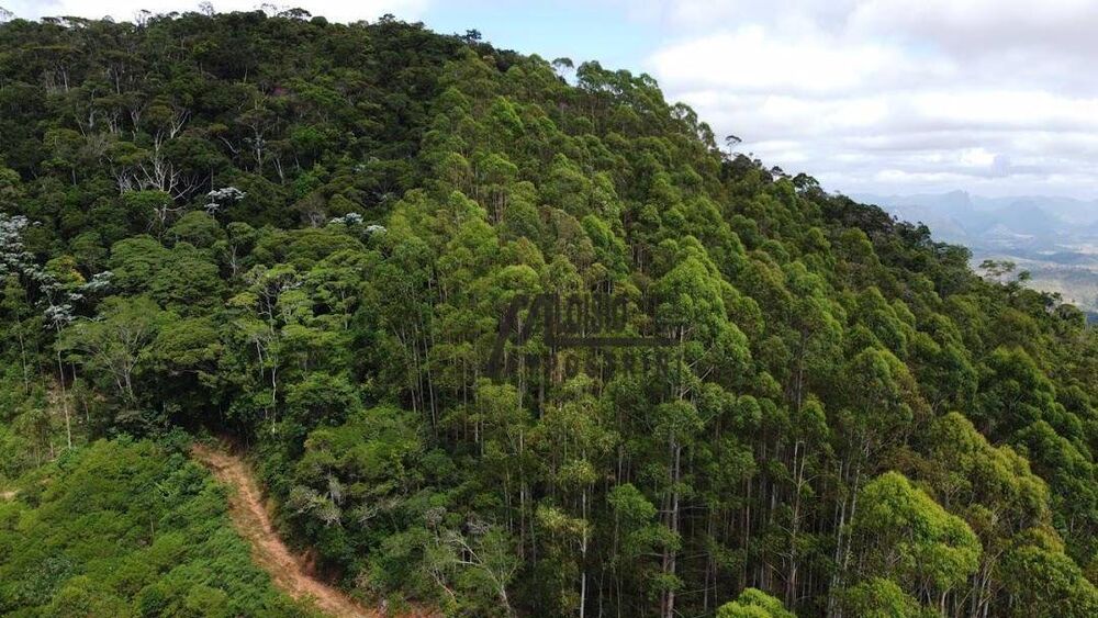 Sítio, 58 hectares - Foto 14