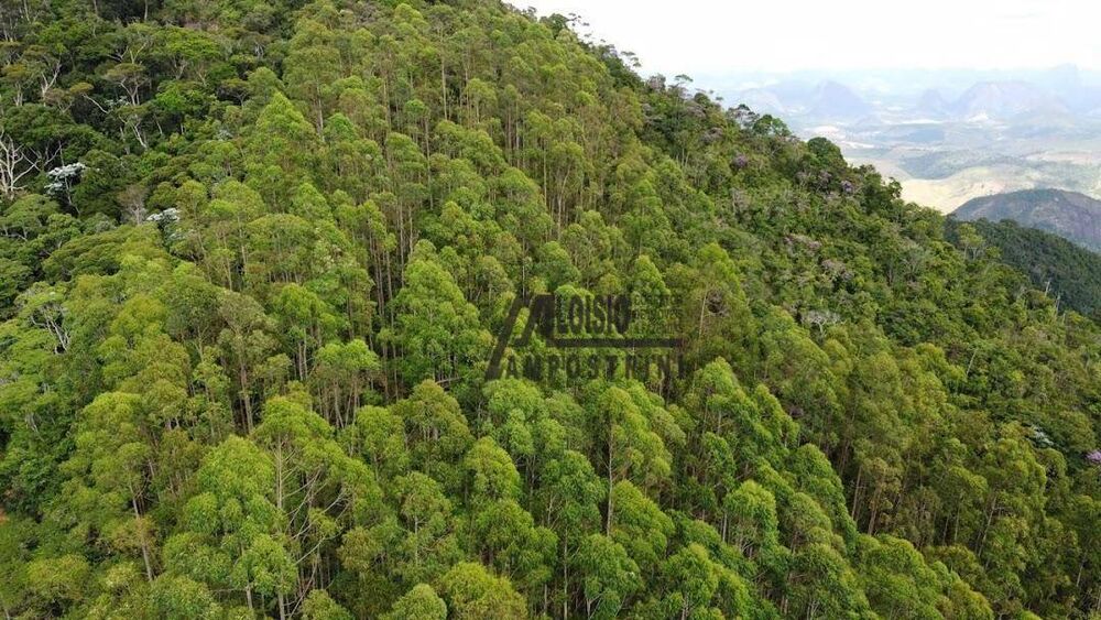 Sítio, 58 hectares - Foto 11