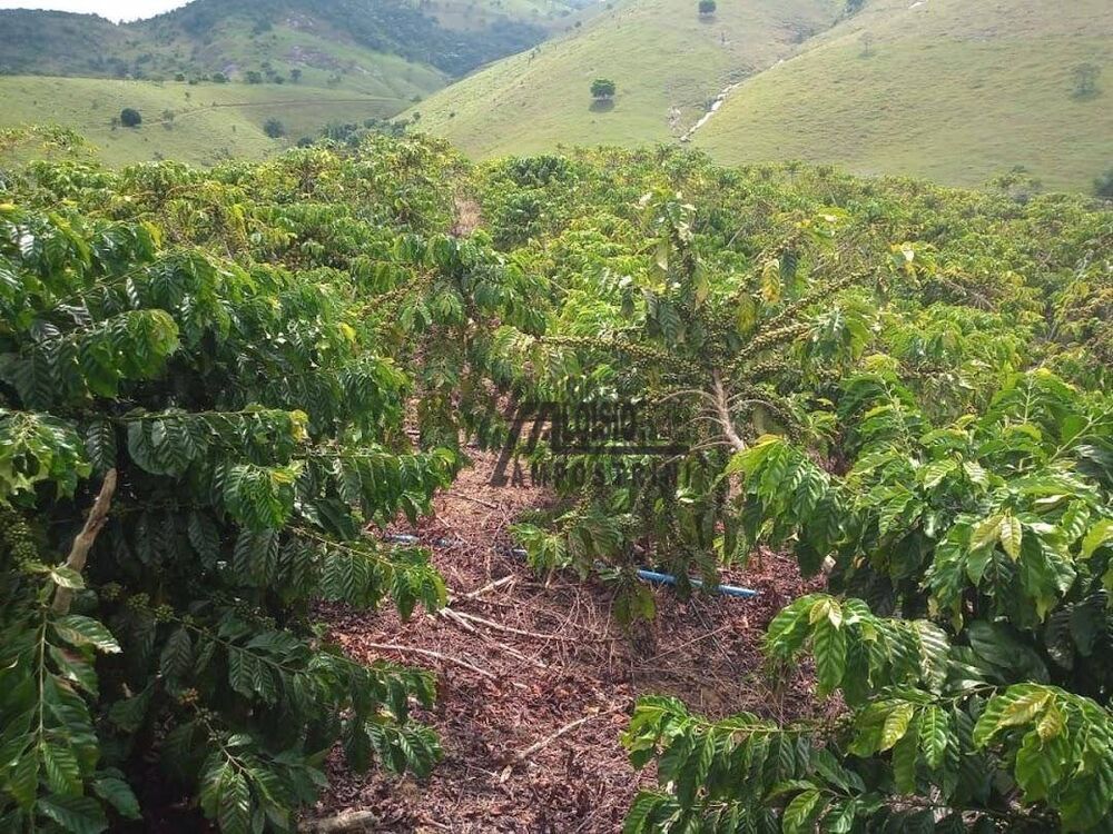 Sítio, 9 m² - Foto 13