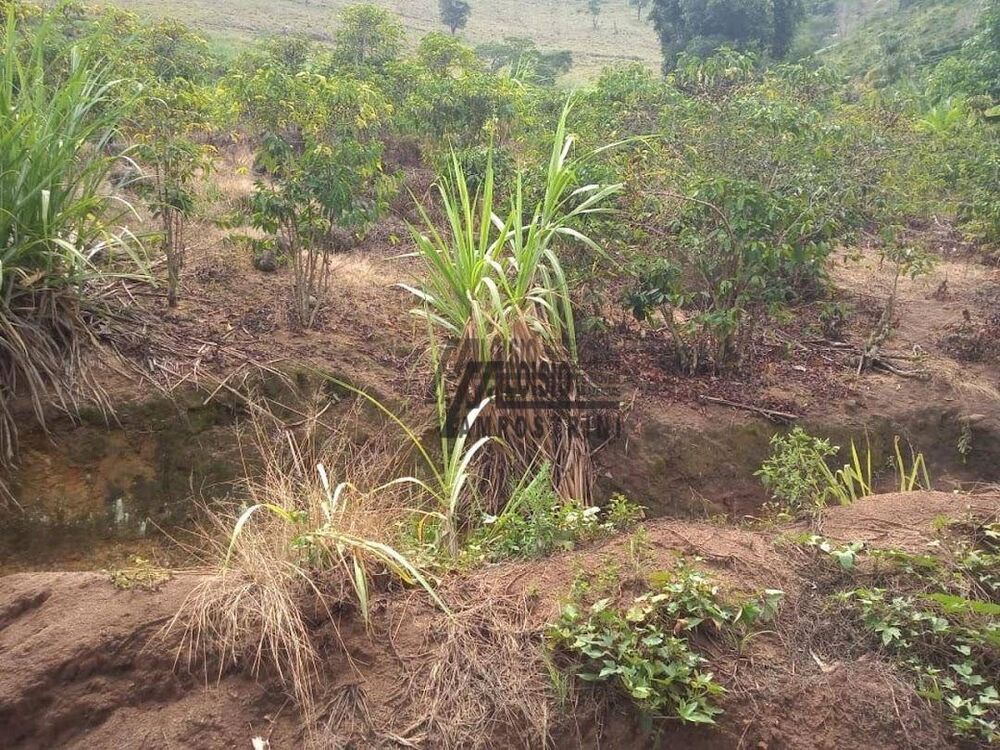 Sítio, 9 m² - Foto 23