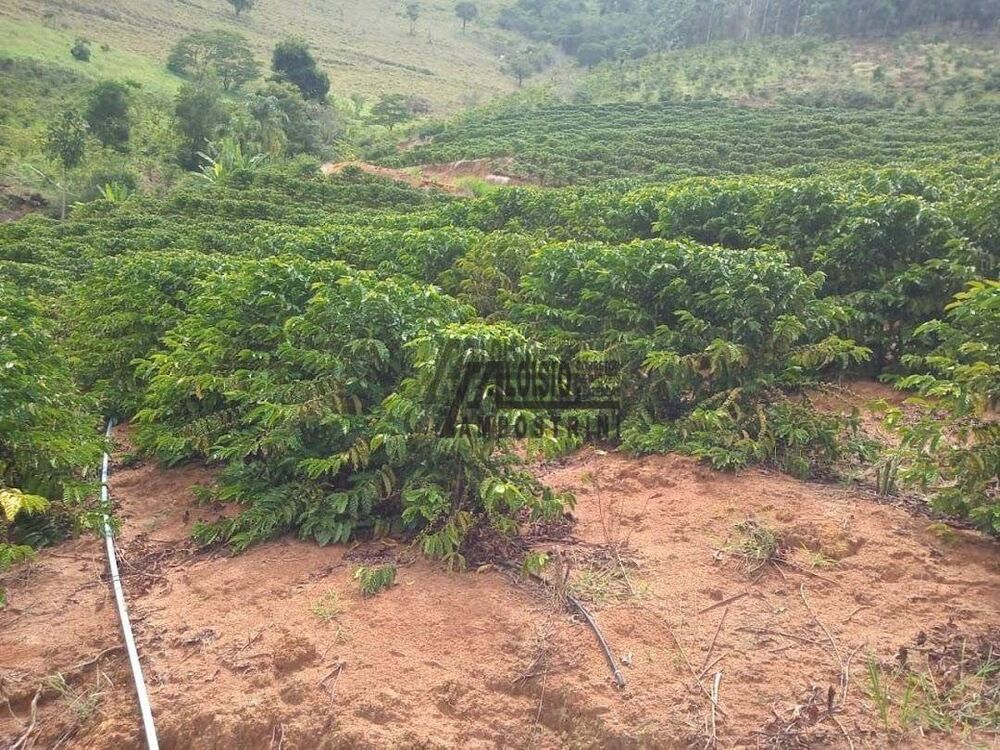 Sítio, 9 m² - Foto 3