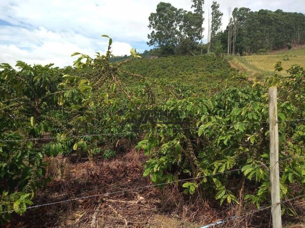 Sítio, 9 m² - Foto 11