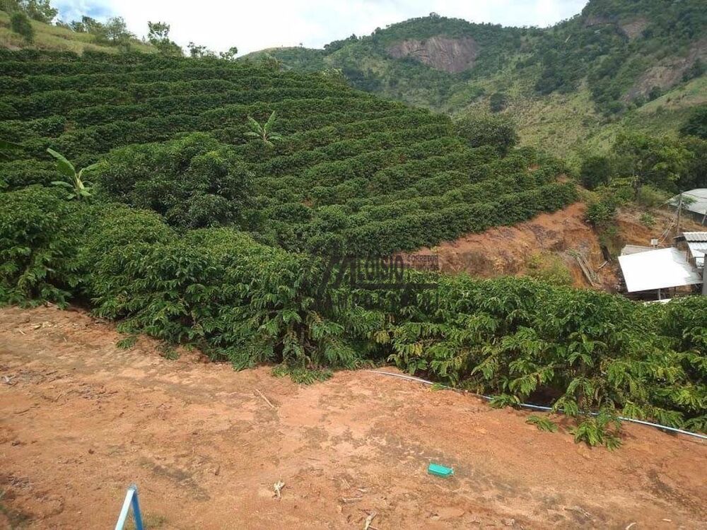 Sítio, 9 m² - Foto 19