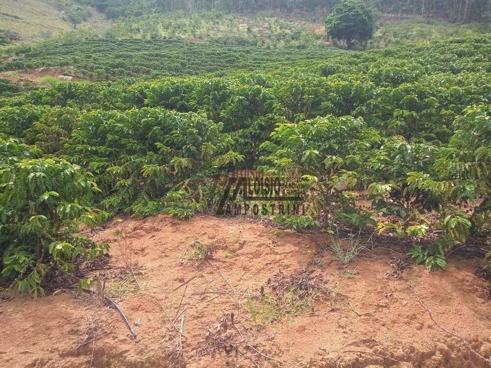 Sítio, 9 m² - Foto 20