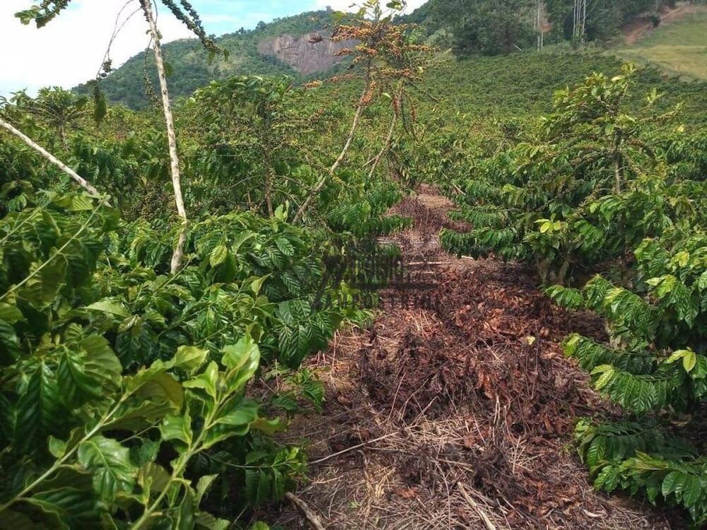 Sítio, 9 m² - Foto 10