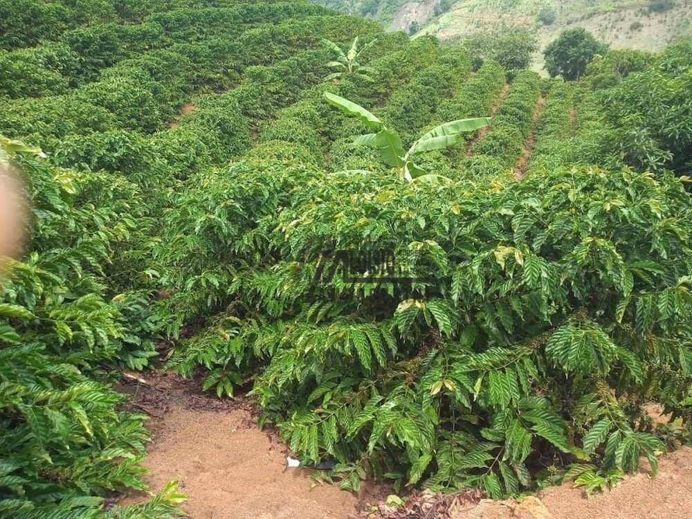 Sítio, 9 m² - Foto 22