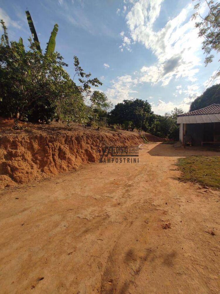 Sítio, 6 hectares - Foto 4