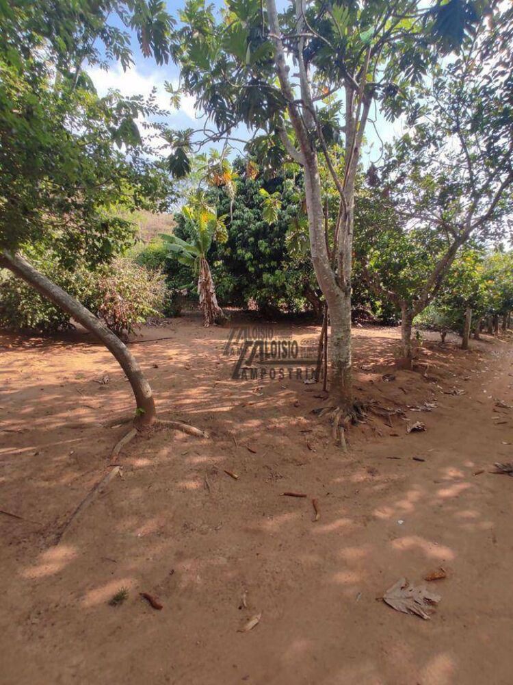 Sítio, 6 hectares - Foto 3