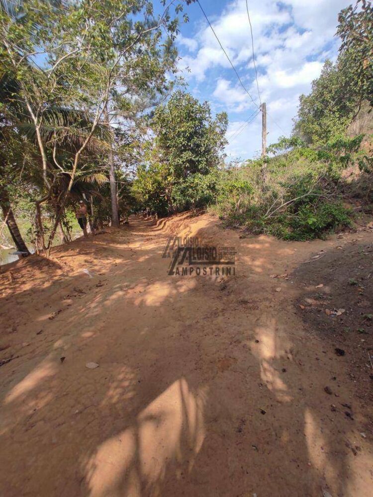 Sítio, 6 hectares - Foto 2