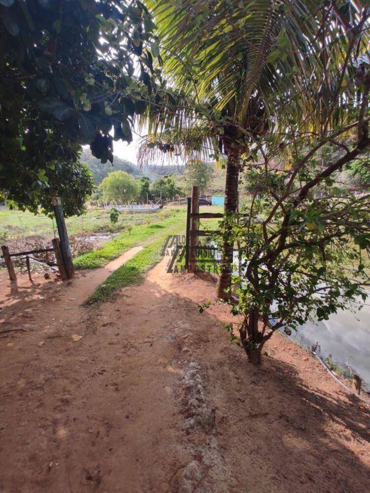 Sítio, 6 hectares - Foto 1