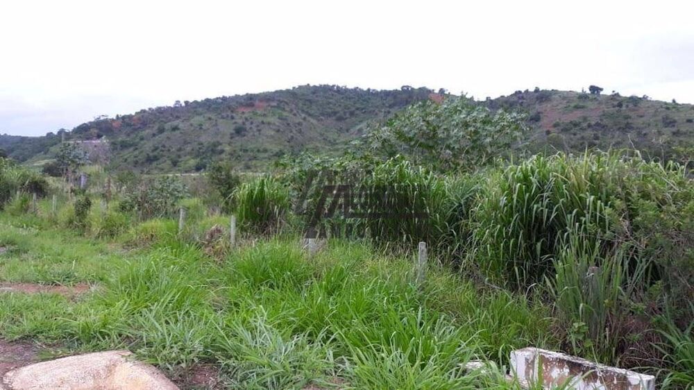 Terreno, 4 hectares - Foto 2