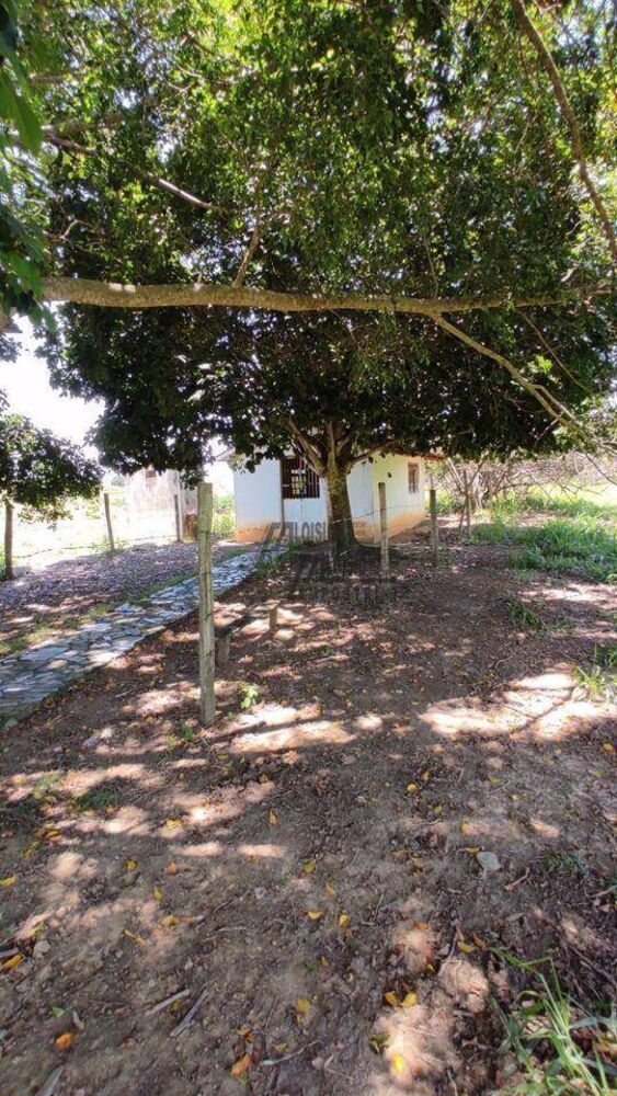 Sítio, 34 hectares - Foto 19