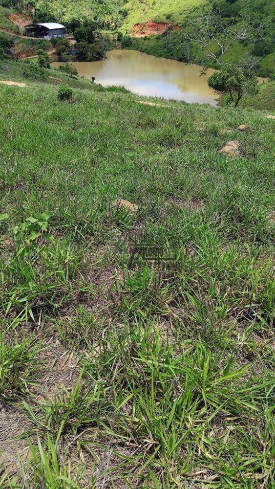 Sítio, 34 hectares - Foto 6