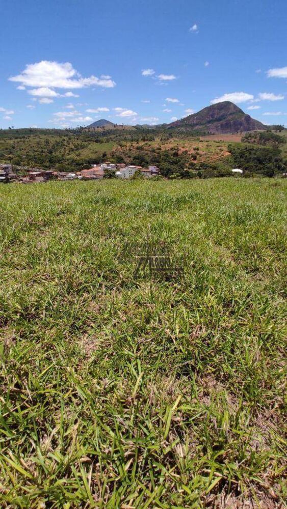 Sítio à venda, 338800M2 - Foto 4