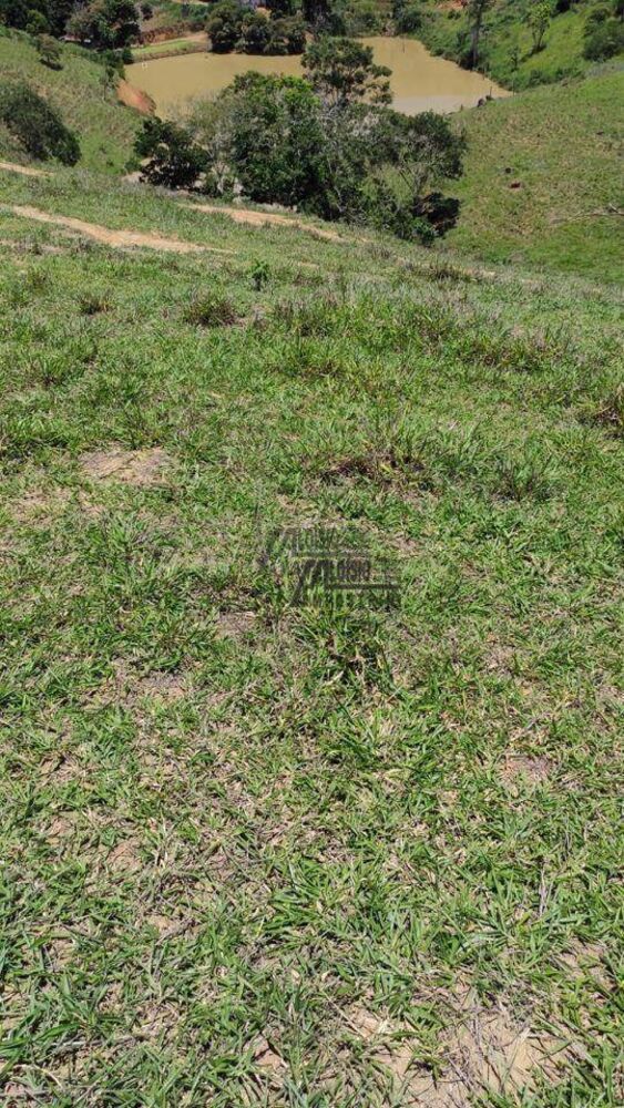 Sítio, 34 hectares - Foto 18