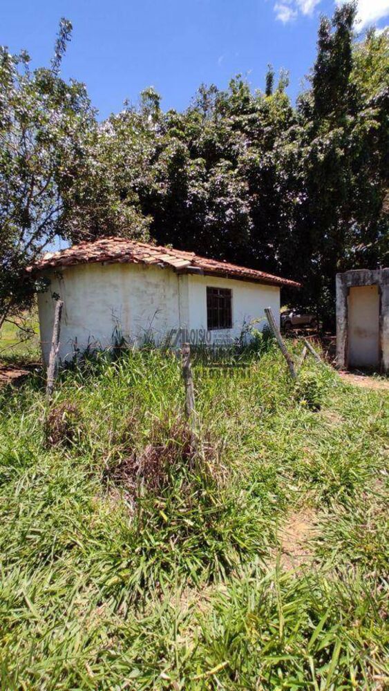 Sítio, 34 hectares - Foto 15