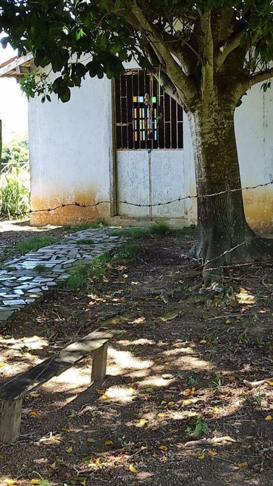 Sítio, 34 hectares - Foto 17