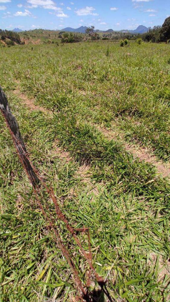 Sítio, 34 hectares - Foto 16