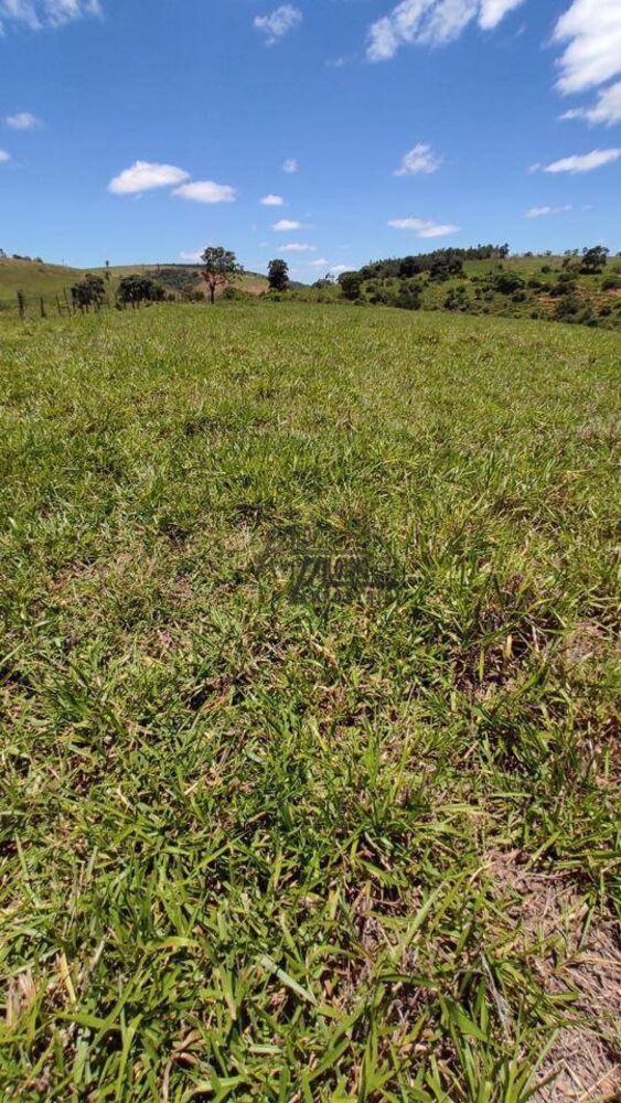 Sítio, 34 hectares - Foto 13