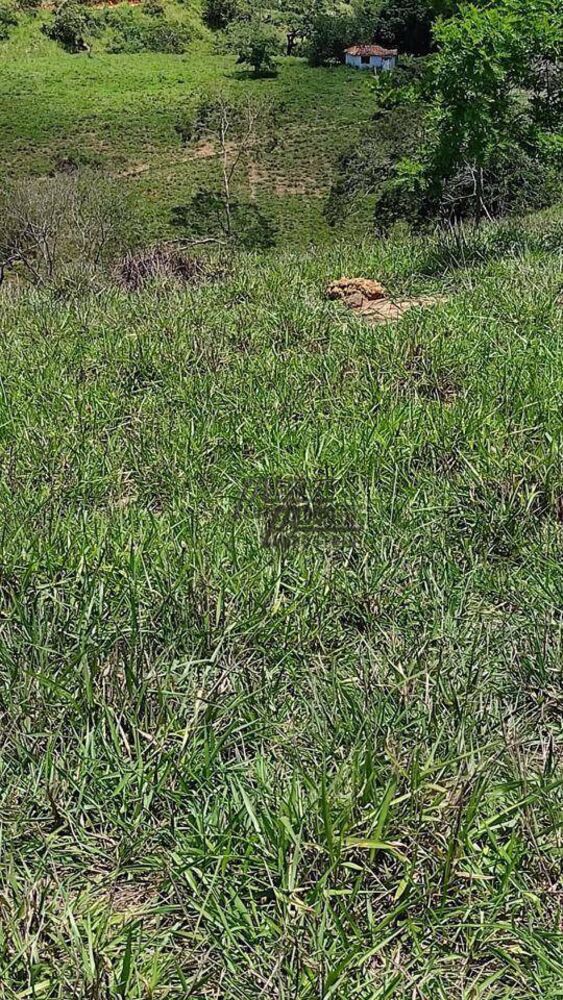 Sítio, 34 hectares - Foto 2