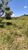 Sítio, 34 hectares - Foto 4