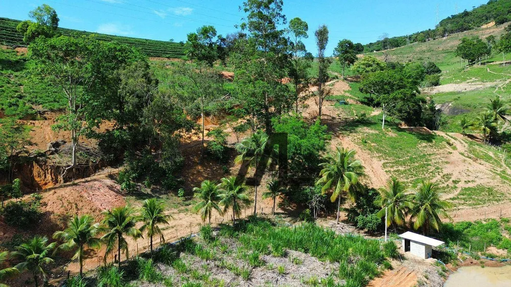 Fazenda, 82 hectares - Foto 2