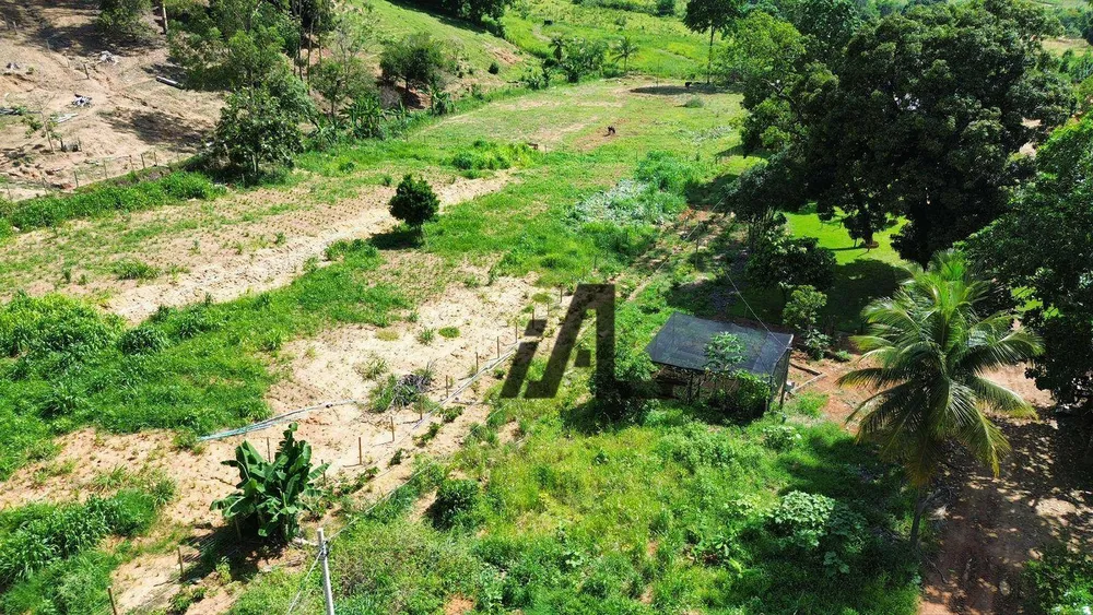 Fazenda, 82 hectares - Foto 3