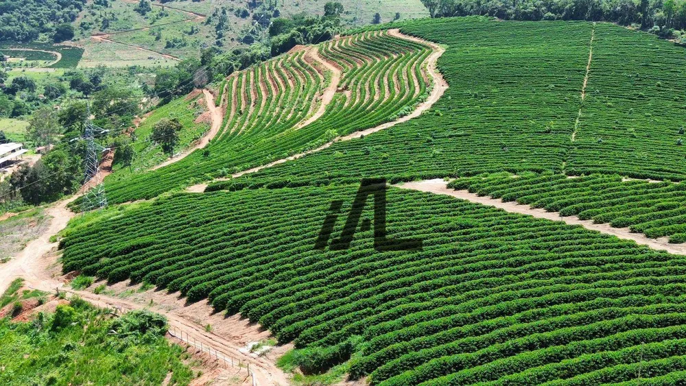 Fazenda, 82 hectares - Foto 1
