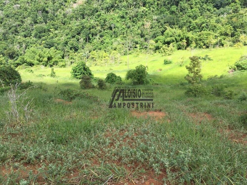 Fazenda-Sítio-Chácara, 242 hectares - Foto 27