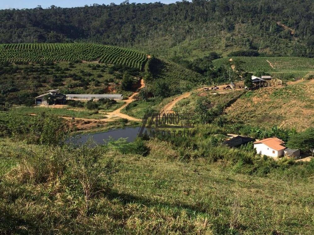 Fazenda-Sítio-Chácara, 242 hectares - Foto 2