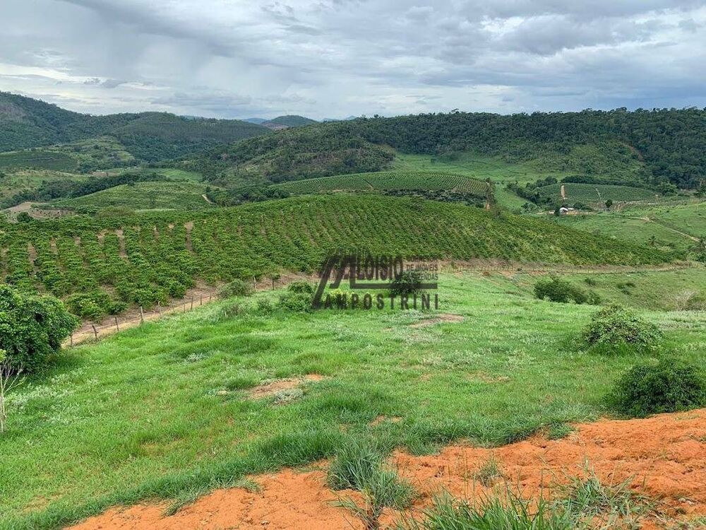 Fazenda-Sítio-Chácara, 242 hectares - Foto 11