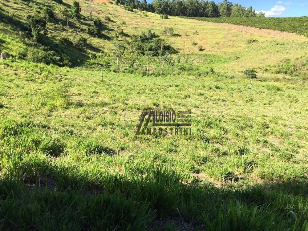 Fazenda-Sítio-Chácara, 242 hectares - Foto 26