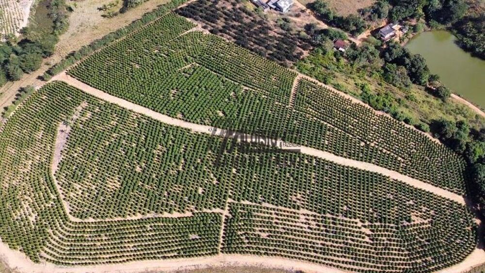 Fazenda-Sítio-Chácara, 242 hectares - Foto 13