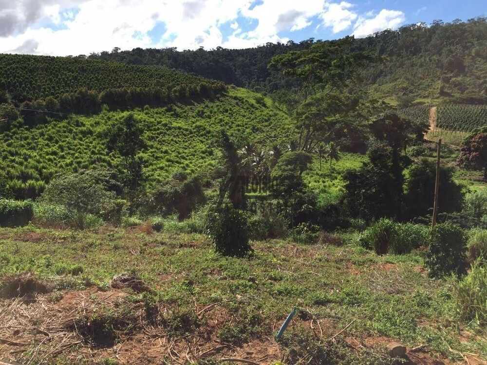 Fazenda-Sítio-Chácara, 242 hectares - Foto 24