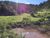 Fazenda, 242 hectares - Foto 4