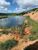 Fazenda, 242 hectares - Foto 3